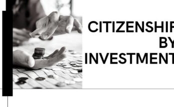 UK Citizenship by Investment