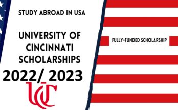 International Scholarships for Undergraduates