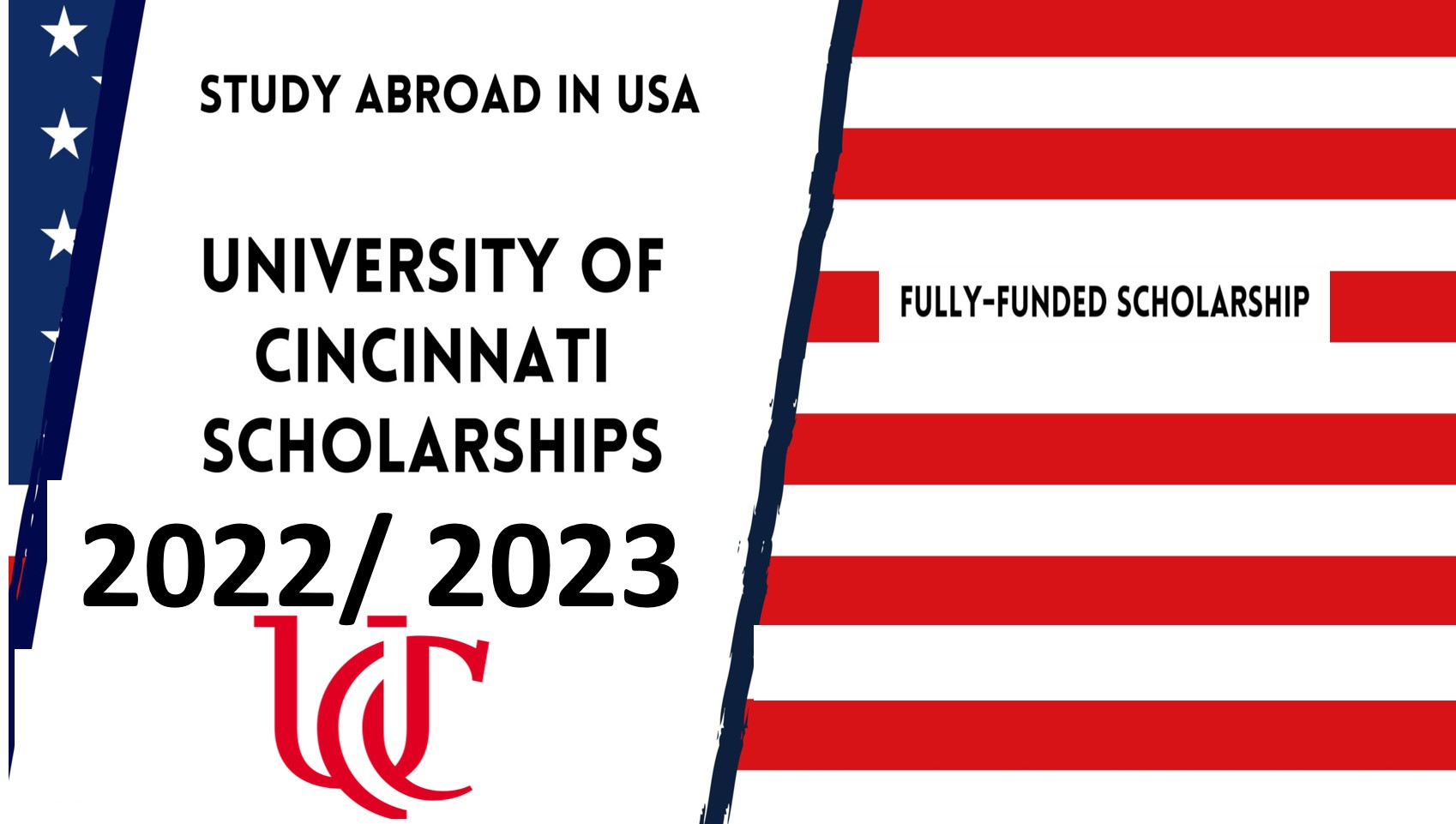 International Scholarships for Undergraduates
