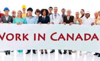 20 Employers Ready to Recruit