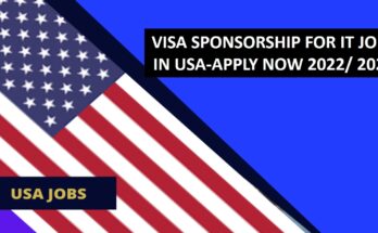 Visa sponsorship for IT jobs in USA