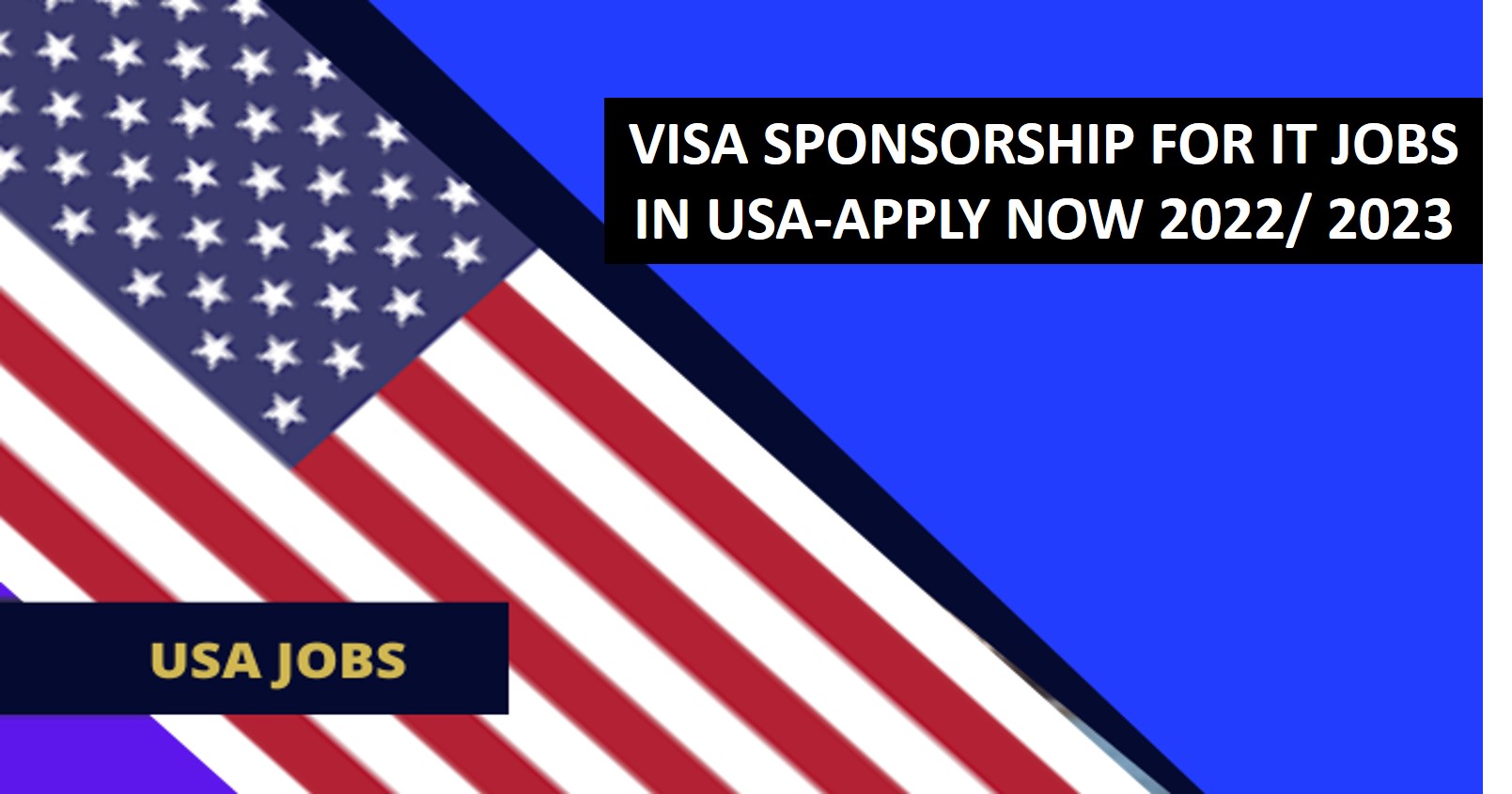 Visa sponsorship for IT jobs in USA